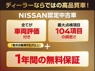2021 Nissan SKYLINE 缩略图 54
