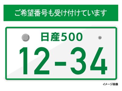 2021 Nissan SKYLINE 缩略图 68