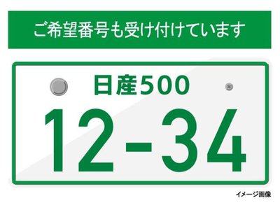 2021 Nissan SKYLINE 缩略图 81