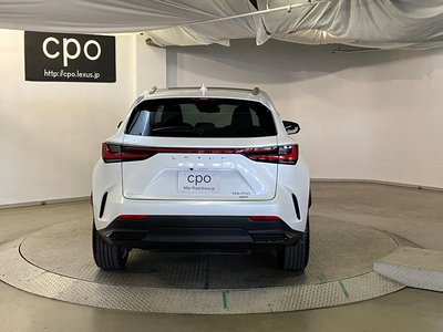 LEXUS NX - 10