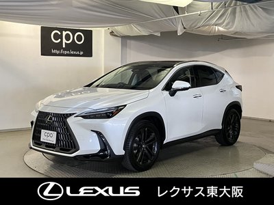 LEXUS NX - 1