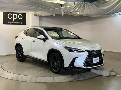 LEXUS NX - 6