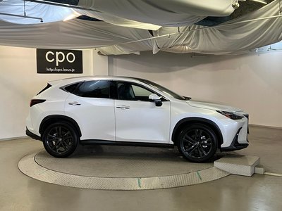 LEXUS NX - 8