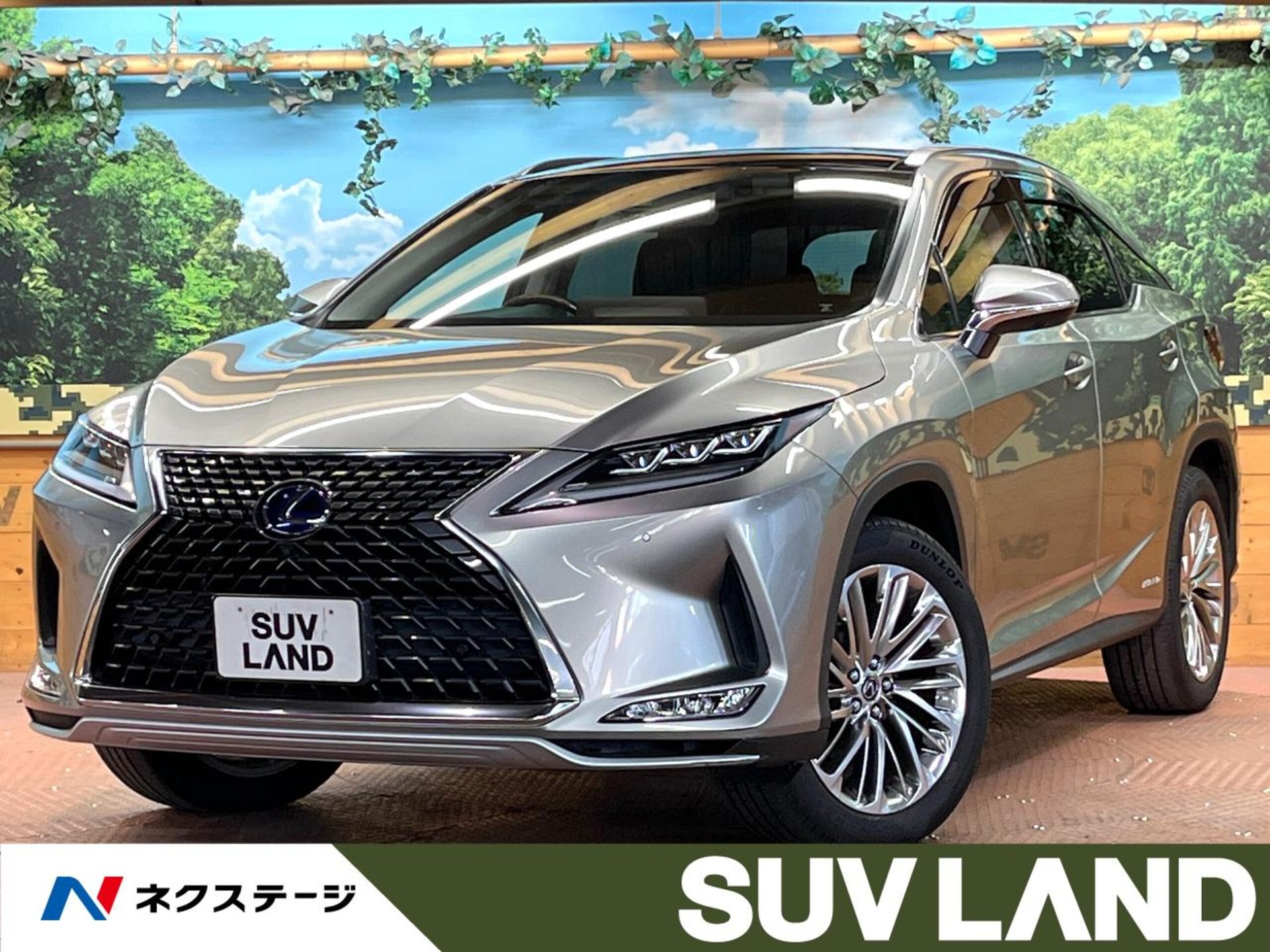 LEXUS RX - View 1