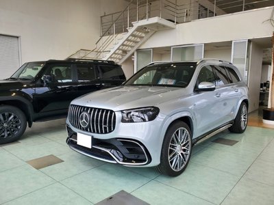 MERCEDES-BENZ GLS-CLASS AMG - 1