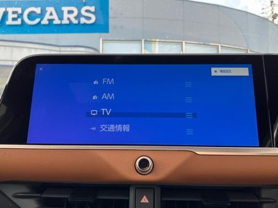 TOYOTA CROWN CROSSOVER - 10