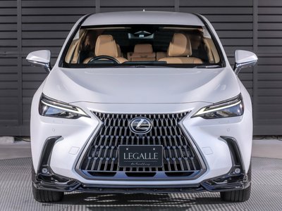LEXUS NX - 4