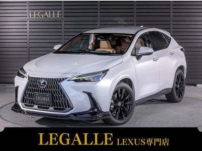 LEXUS NX - 1