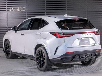 LEXUS NX - 9