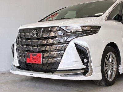 2023 Toyota ALPHARD — миниатюра 11