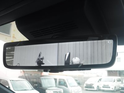 TOYOTA ALPHARD - 9