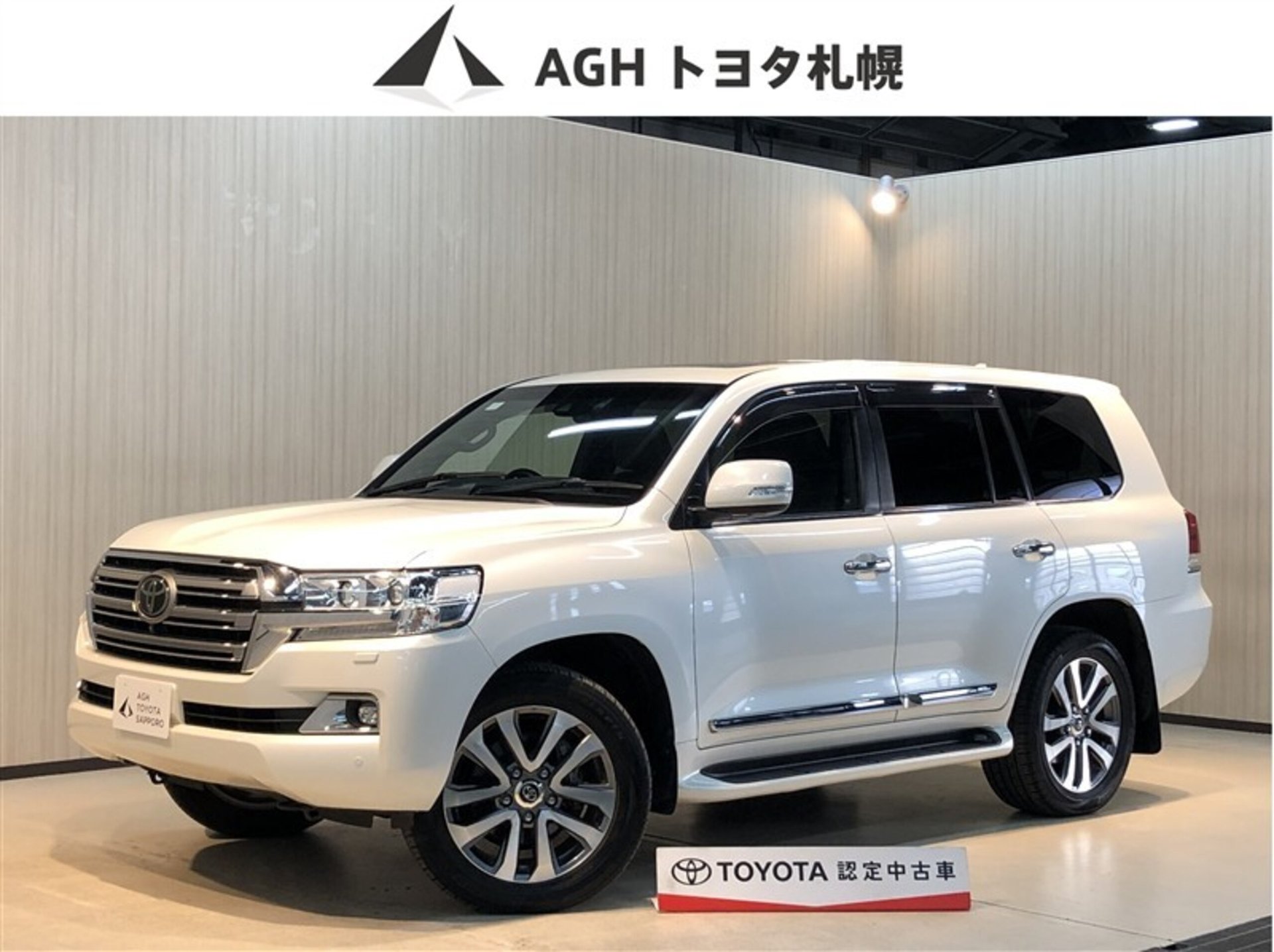 TOYOTA LAND CRUISER 200 - View 1