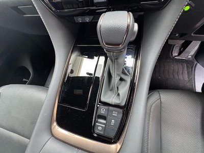 2024 TOYOTA ALPHARD photo 10