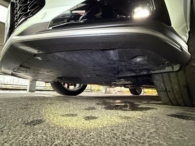 LEXUS NX F SPORT - 10