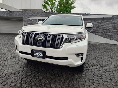 TOYOTA LAND CRUISER PRADO - 6