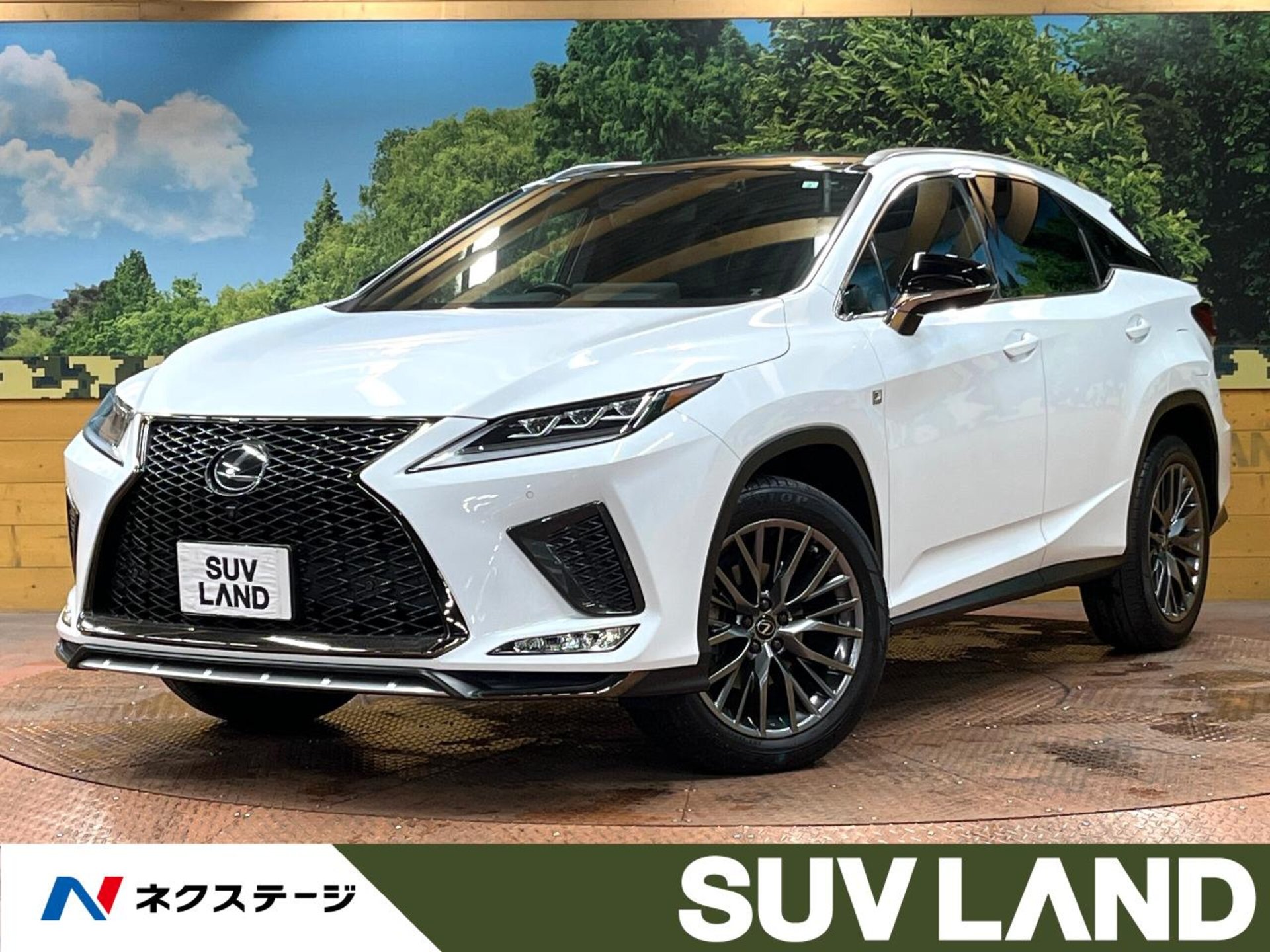 LEXUS RX - View 1