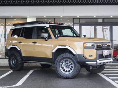 TOYOTA LAND CRUISER 250 - 3