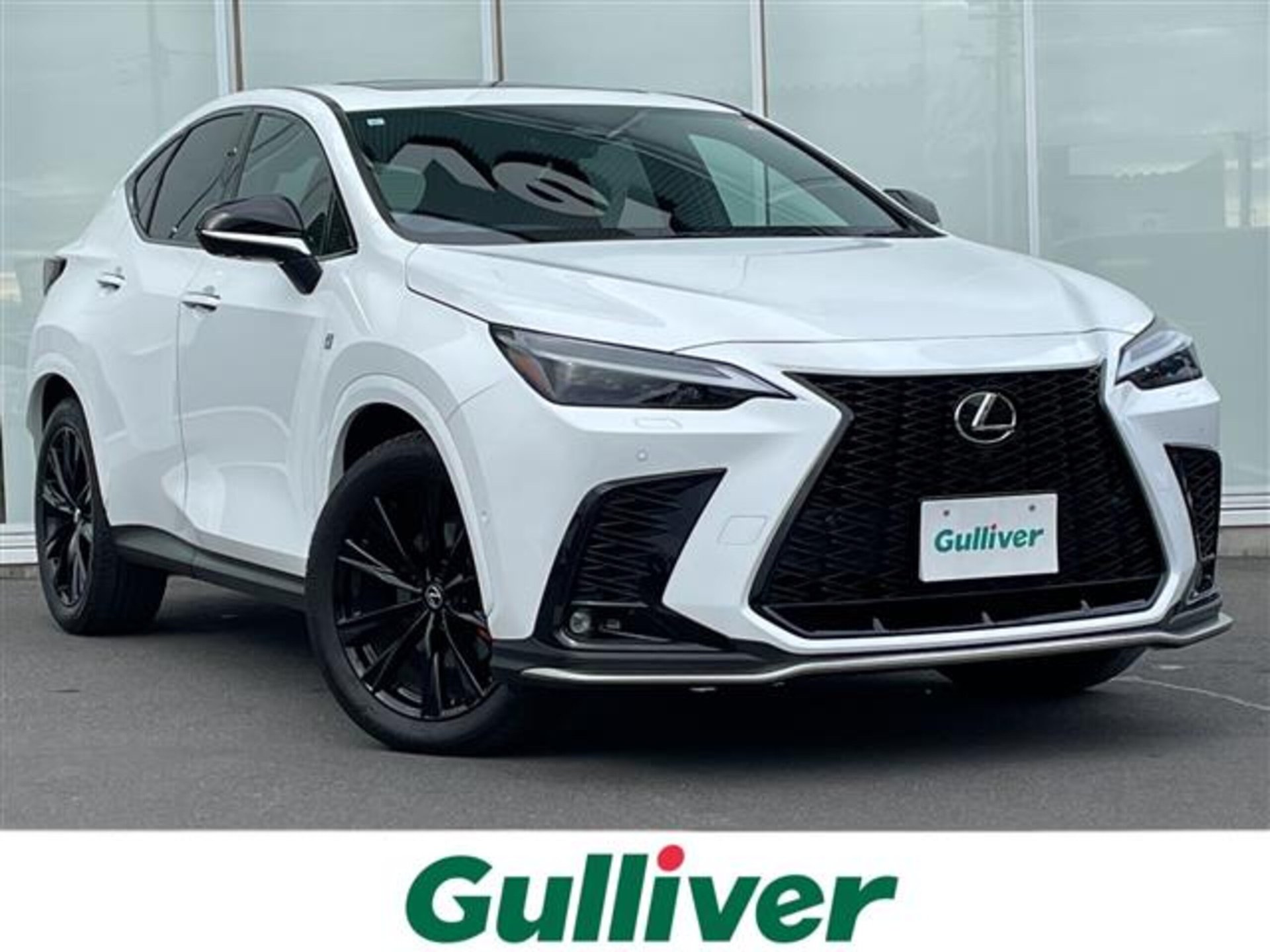 LEXUS NX - View 1