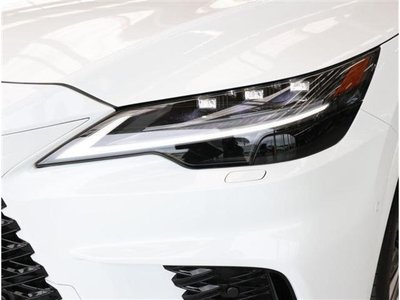 2025 Lexus RX 缩略图 29