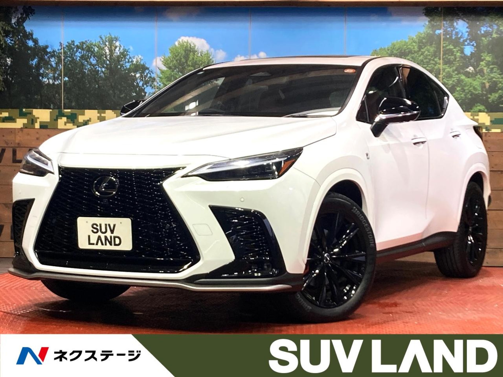 LEXUS NX - View 1