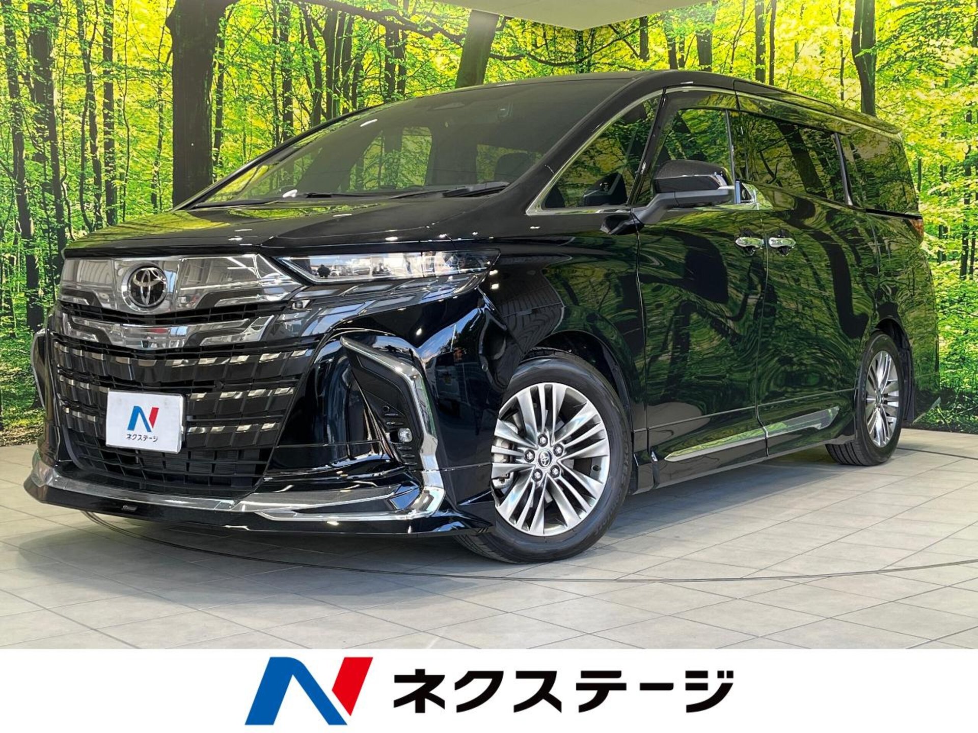 TOYOTA ALPHARD - View 1