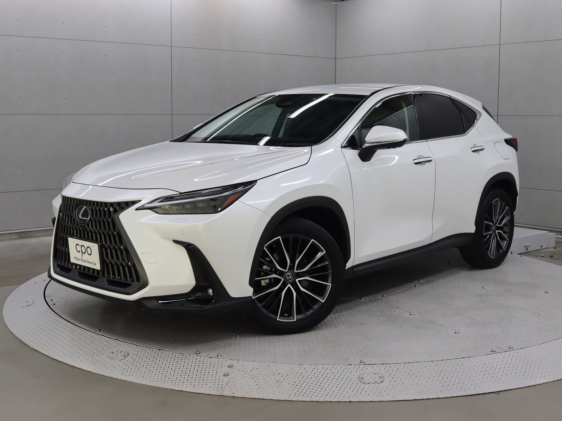 LEXUS NX - View 1