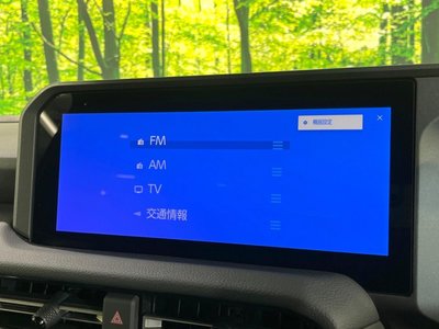 2024 Toyota LAND CRUISER 250 缩略图 49