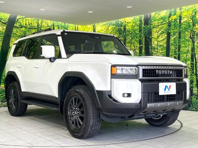 2024 Toyota LAND CRUISER 250 缩略图 17