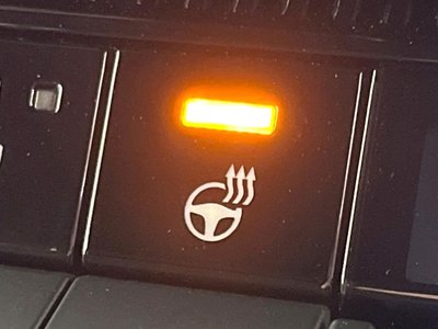2024 Toyota LAND CRUISER 250 缩略图 52