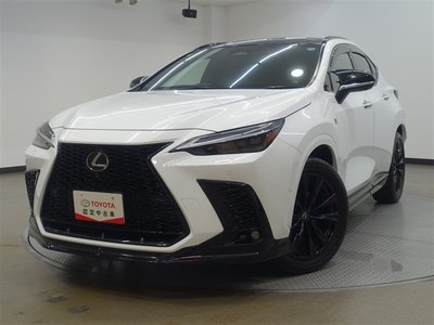 LEXUS NX - 6