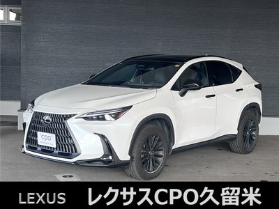 LEXUS NX - 1