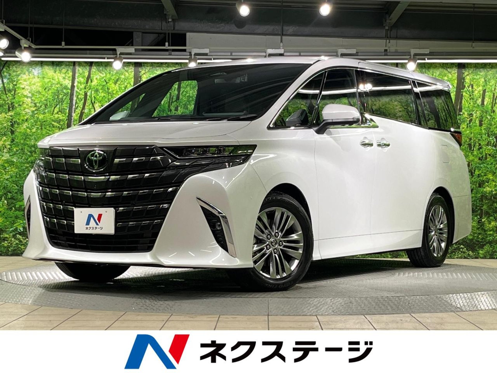 TOYOTA ALPHARD - View 1
