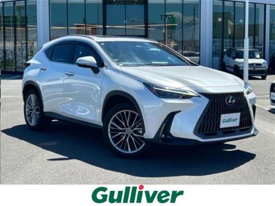 2022 Lexus NX 照片 1