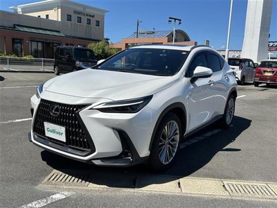 2022 Lexus NX — миниатюра 17