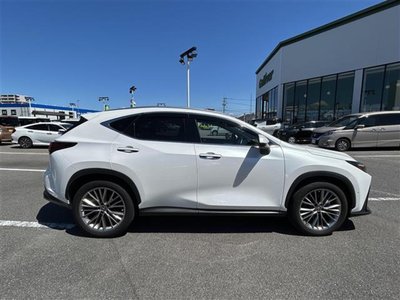 2022 Lexus NX — миниатюра 40