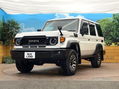 2024 Toyota LAND CRUISER 70 缩略图 14