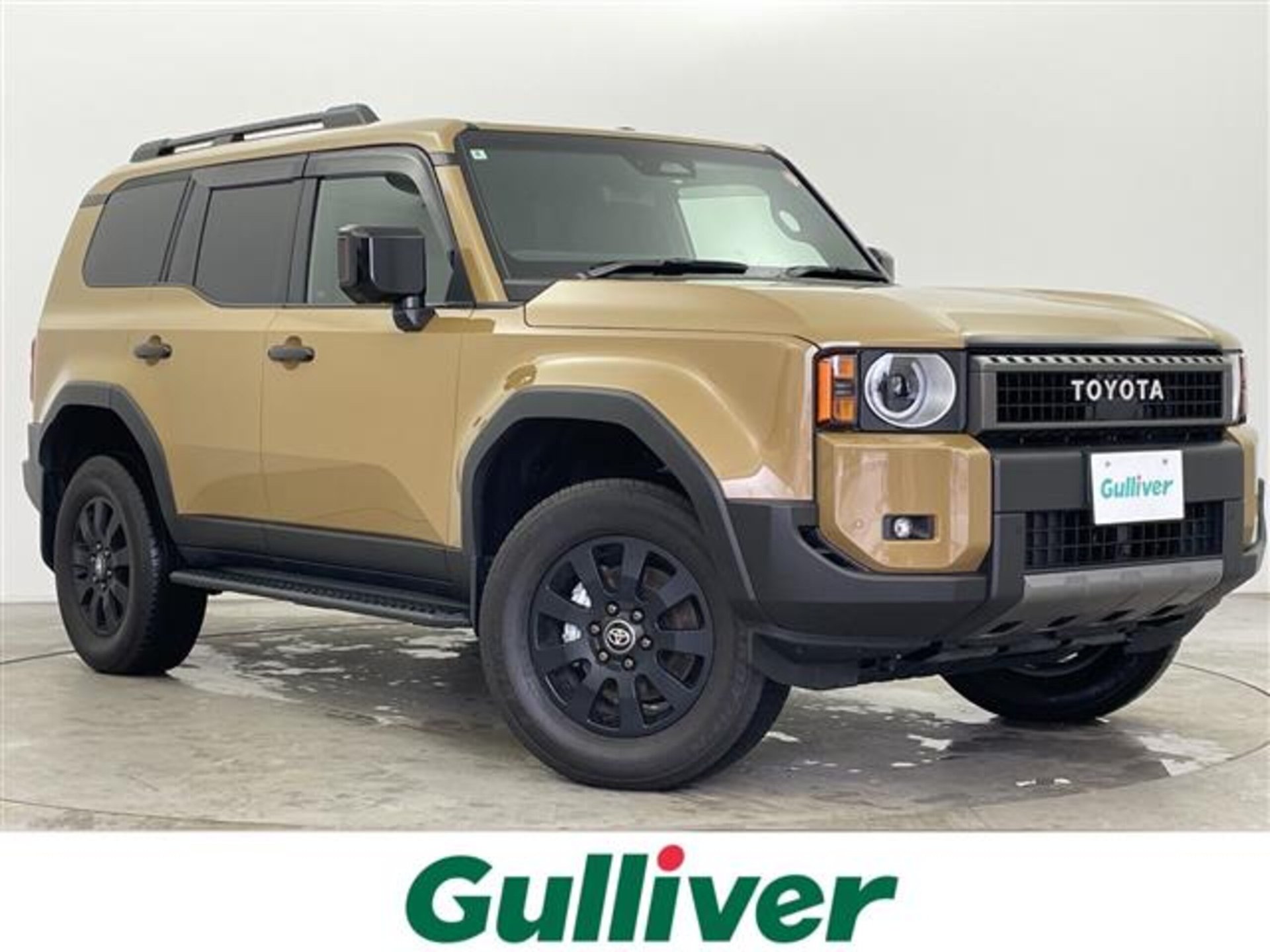 TOYOTA LAND CRUISER 250 - View 1