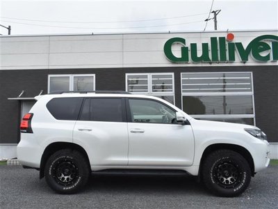 2022 Toyota LAND CRUISER PRADO photo 6