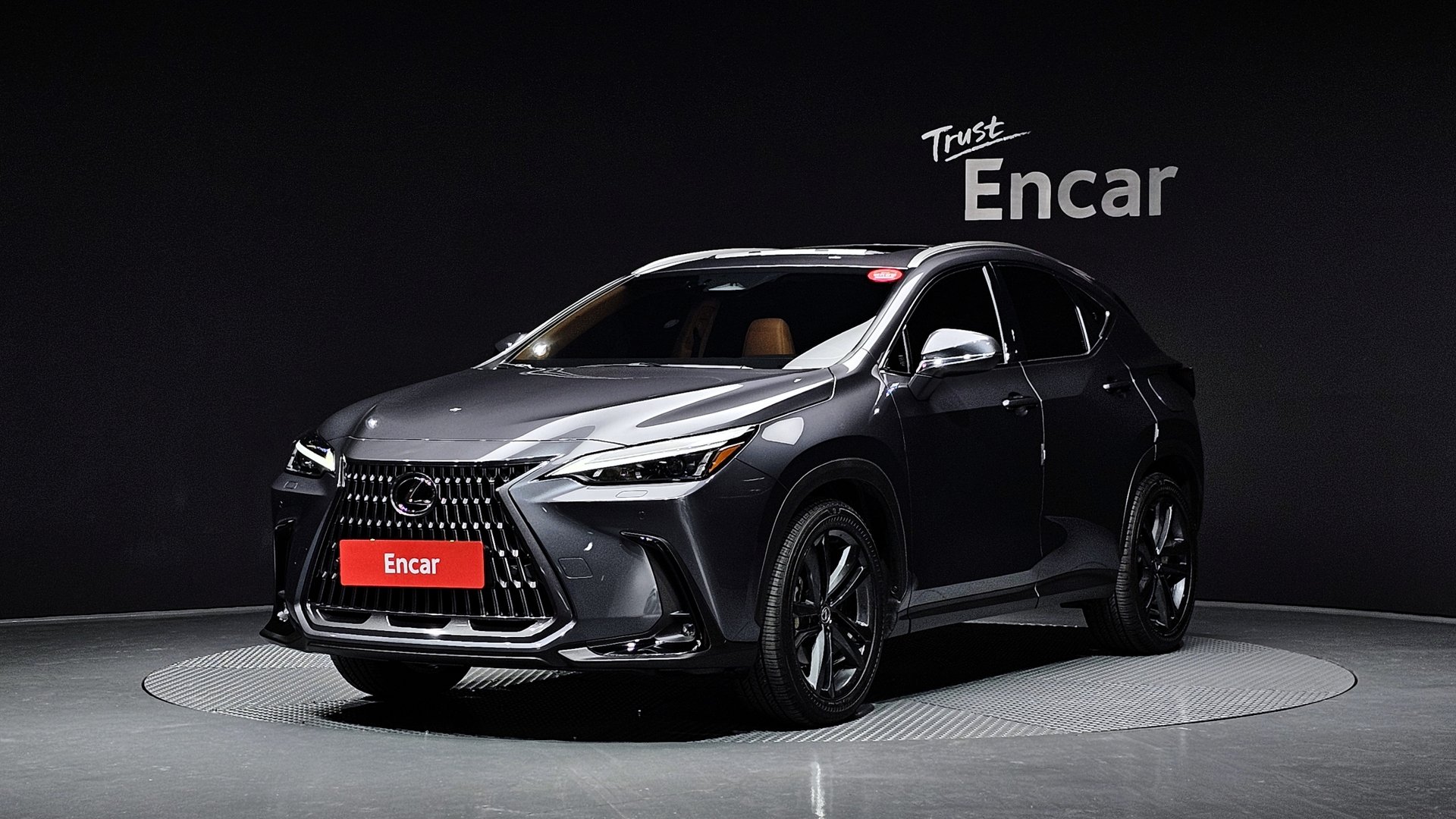 LEXUS NX - View 1