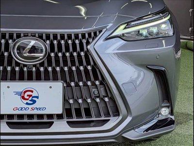 2024 Lexus NX — миниатюра 20