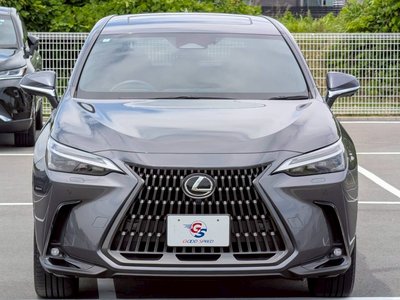 2024 Lexus NX — миниатюра 72