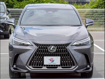 2024 Lexus NX — миниатюра 12