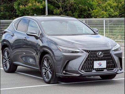 2024 Lexus NX — миниатюра 15
