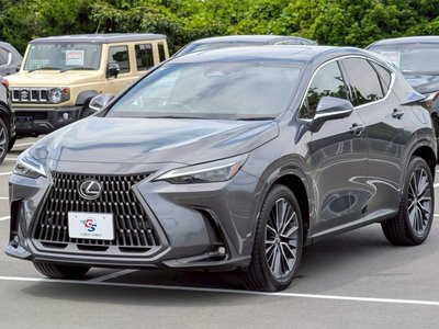 2024 Lexus NX — миниатюра 73