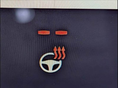 2024 Lexus NX 照片 10