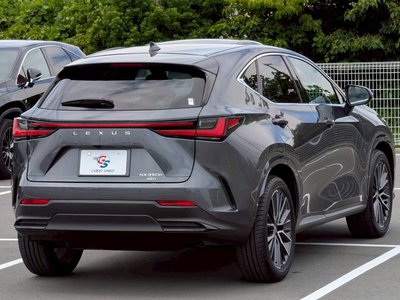 2024 Lexus NX — миниатюра 75