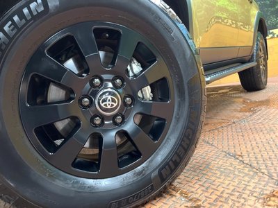 2024 Toyota LAND CRUISER 250 缩略图 14