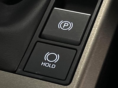 2024 Toyota LAND CRUISER 250 缩略图 33
