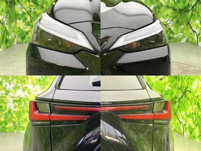 صورة مصغرة 49 لـ 2024 Lexus NX