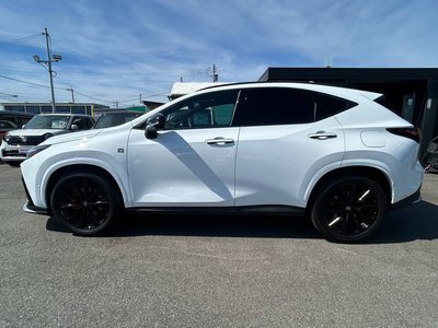 2024 Lexus NX photo 3